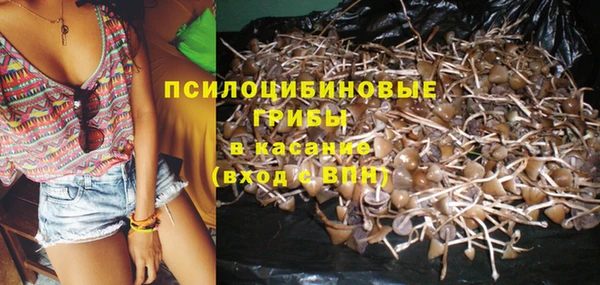 COCAINE Новодвинск