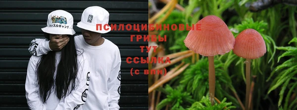 дмт Новозыбков
