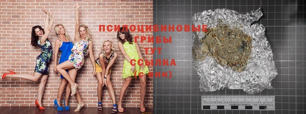 дмт Новозыбков