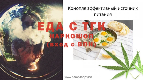 дмт Новозыбков