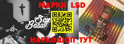 apvp Славгород