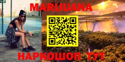 apvp Славгород