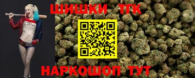 тгк Сланцы