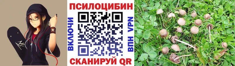 даркнет сайт  Рузаевка  блэк спрут tor  Псилоцибиновые грибы Cubensis 