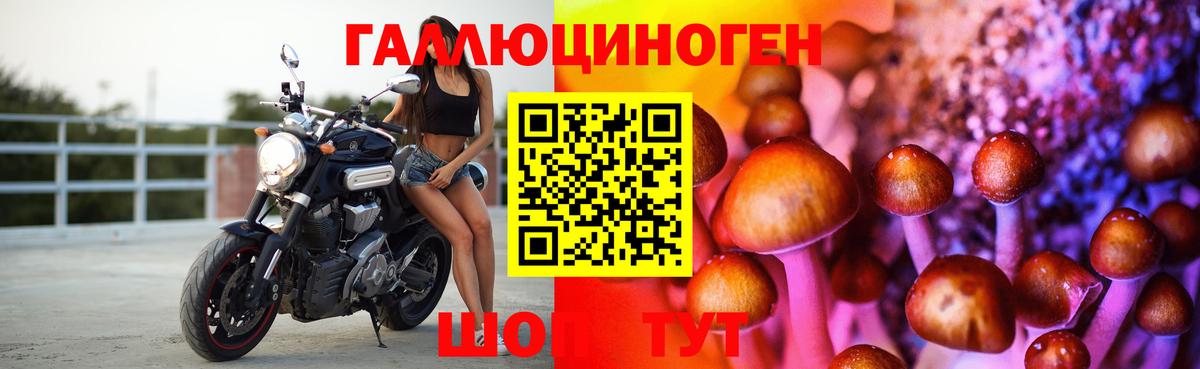 Рузаевка  Псилоцибиновые грибы Cubensis  Вход с VPN 